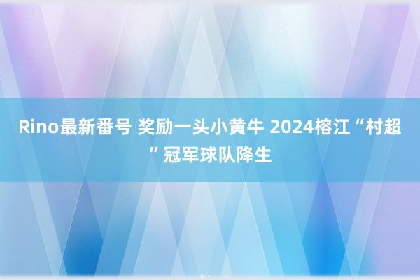 Rino最新番号 奖励一头小黄牛 2024榕江“村超”冠军球队降生