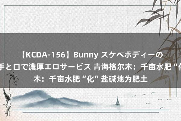 【KCDA-156】Bunny スケベボディーのバニーガールが手と口で濃厚エロサービス 青海格尔木：千亩水肥“化”盐碱地为肥土