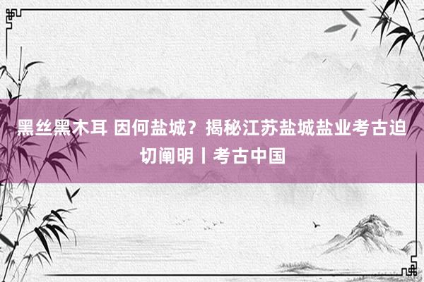 黑丝黑木耳 因何盐城？揭秘江苏盐城盐业考古迫切阐明丨考古中国