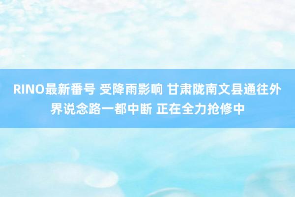 RINO最新番号 受降雨影响 甘肃陇南文县通往外界说念路一都中断 正在全力抢修中