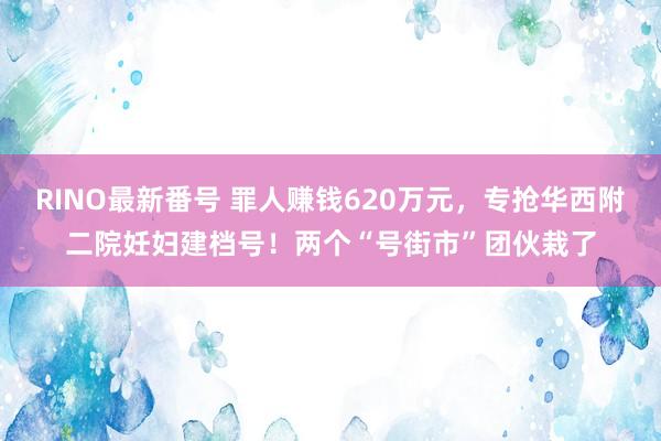 RINO最新番号 罪人赚钱620万元，专抢华西附二院妊妇建档号！两个“号街市”团伙栽了