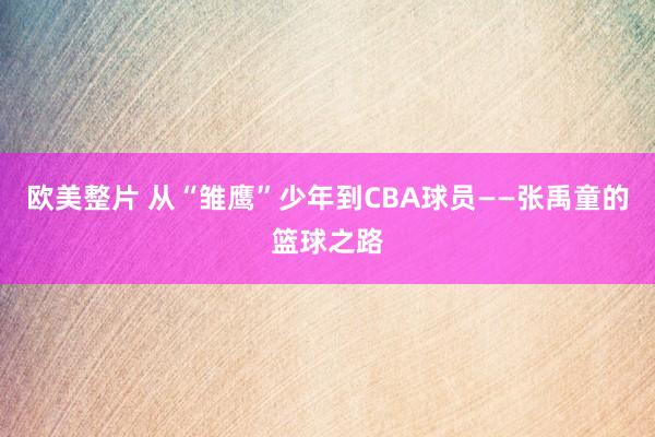 欧美整片 从“雏鹰”少年到CBA球员——张禹童的篮球之路