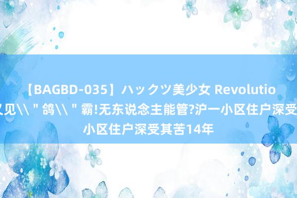 【BAGBD-035】ハックツ美少女 Revolution Rino 又见\＂鸽\＂霸!无东说念主能管?沪一小区住户深受其苦14年