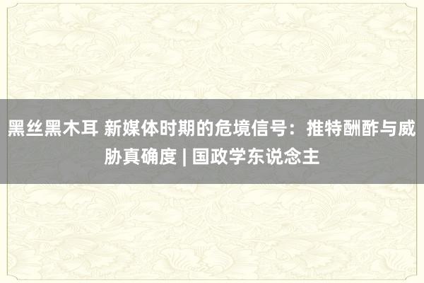 黑丝黑木耳 新媒体时期的危境信号：推特酬酢与威胁真确度 | 国政学东说念主