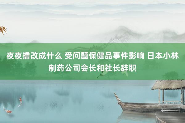 夜夜撸改成什么 受问题保健品事件影响 日本小林制药公司会长和社长辞职