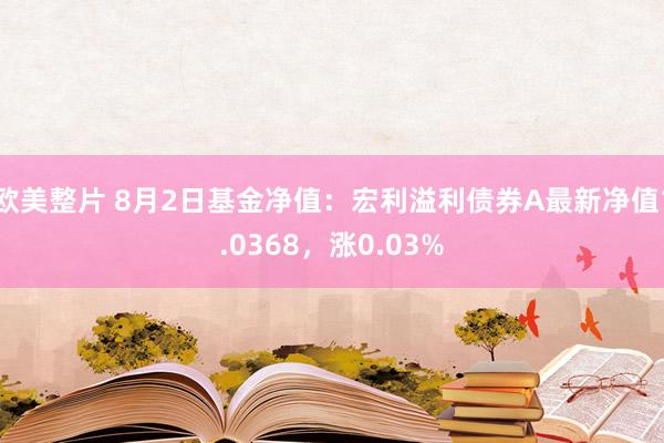 欧美整片 8月2日基金净值：宏利溢利债券A最新净值1.0368，涨0.03%