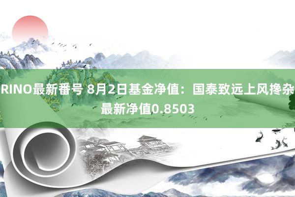 RINO最新番号 8月2日基金净值：国泰致远上风搀杂最新净值0.8503