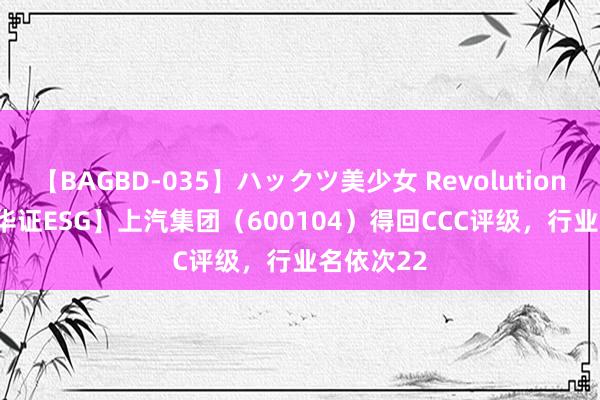 【BAGBD-035】ハックツ美少女 Revolution Rino 【华证ESG】上汽集团（600104）得回CCC评级，行业名依次22