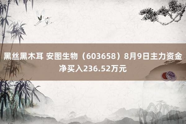 黑丝黑木耳 安图生物（603658）8月9日主力资金净买入236.52万元