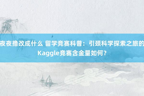 夜夜撸改成什么 留学竞赛科普：引颈科学探索之旅的Kaggle竞赛含金量如何？