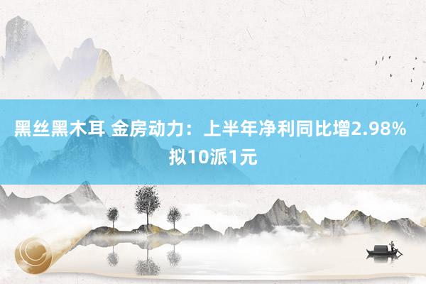 黑丝黑木耳 金房动力：上半年净利同比增2.98% 拟10派1元