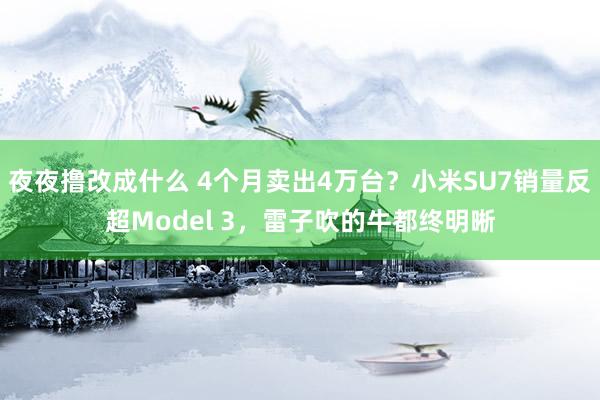 夜夜撸改成什么 4个月卖出4万台？小米SU7销量反超Model 3，雷子吹的牛都终明晰