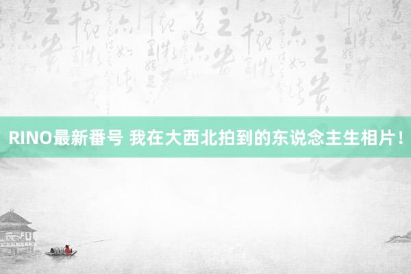 RINO最新番号 我在大西北拍到的东说念主生相片！