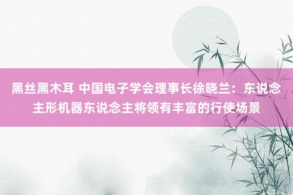 黑丝黑木耳 中国电子学会理事长徐晓兰：东说念主形机器东说念主将领有丰富的行使场景