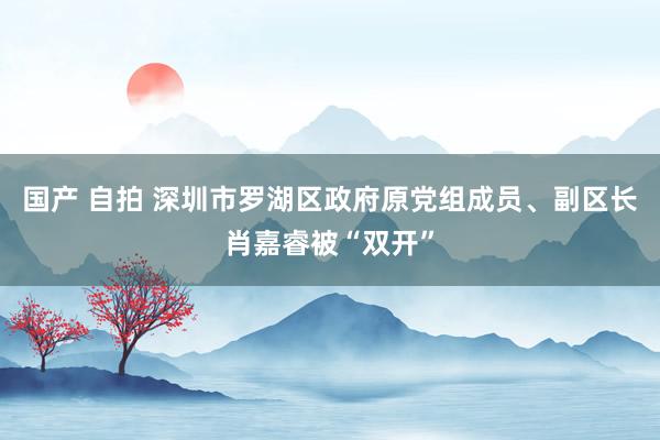 国产 自拍 深圳市罗湖区政府原党组成员、副区长肖嘉睿被“双开”