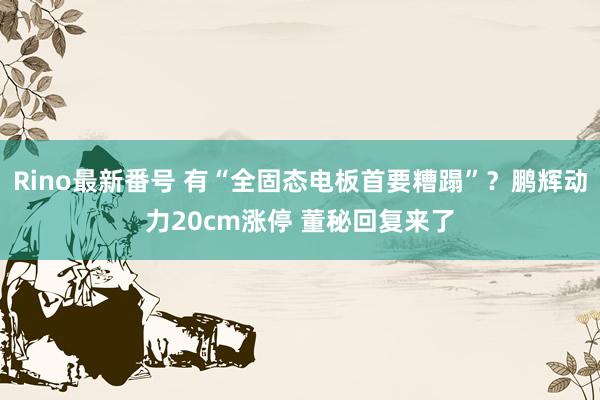 Rino最新番号 有“全固态电板首要糟蹋”？鹏辉动力20cm涨停 董秘回复来了