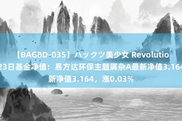 【BAGBD-035】ハックツ美少女 Revolution Rino 8月23日基金净值：易方达环保主题羼杂A最新净值3.164，涨0.03%