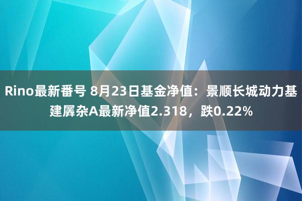 Rino最新番号 8月23日基金净值：景顺长城动力基建羼杂A最新净值2.318，跌0.22%