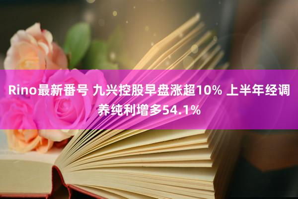 Rino最新番号 九兴控股早盘涨超10% 上半年经调养纯利增多54.1%