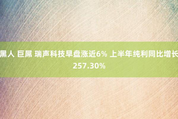 黑人 巨屌 瑞声科技早盘涨近6% 上半年纯利同比增长257.30%