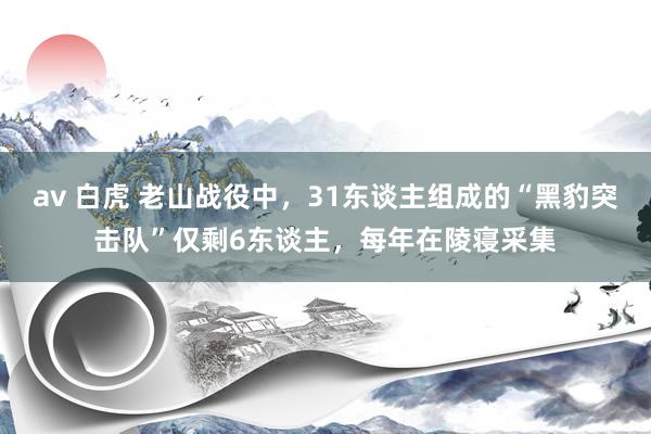 av 白虎 老山战役中，31东谈主组成的“黑豹突击队”仅剩6东谈主，每年在陵寝采集