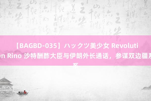 【BAGBD-035】ハックツ美少女 Revolution Rino 沙特酬酢大臣与伊朗外长通话，参谋双边疆系