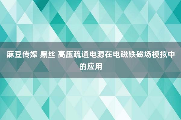 麻豆传媒 黑丝 高压疏通电源在电磁铁磁场模拟中的应用