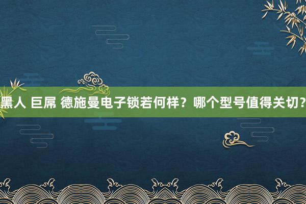 黑人 巨屌 德施曼电子锁若何样？哪个型号值得关切？