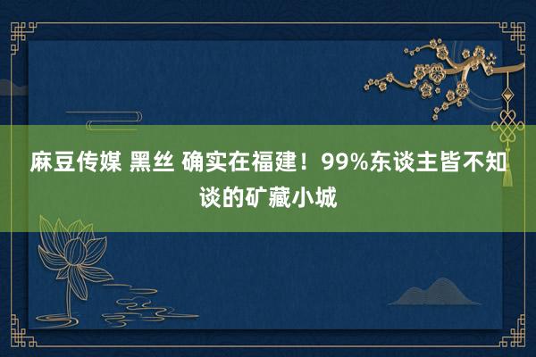 麻豆传媒 黑丝 确实在福建！99%东谈主皆不知谈的矿藏小城