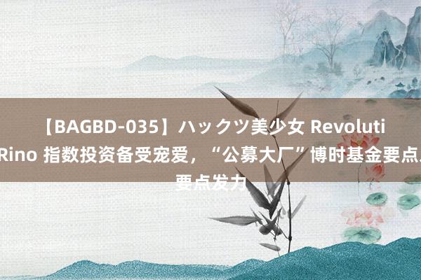 【BAGBD-035】ハックツ美少女 Revolution Rino 指数投资备受宠爱，“公募大厂”博时基金要点发力