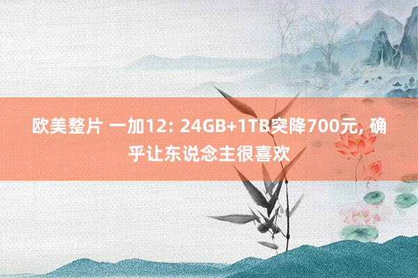 欧美整片 一加12: 24GB+1TB突降700元， 确乎让东说念主很喜欢