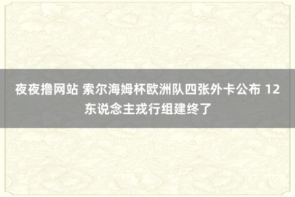 夜夜撸网站 索尔海姆杯欧洲队四张外卡公布 12东说念主戎行组建终了