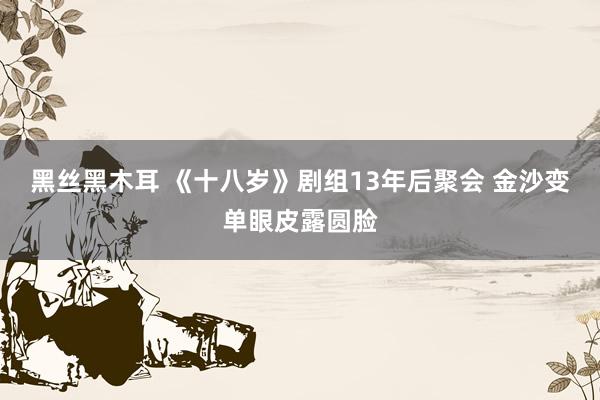 黑丝黑木耳 《十八岁》剧组13年后聚会 金沙变单眼皮露圆脸